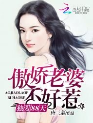 傲娇老婆不好惹:独爱88天