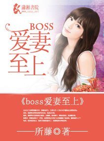 boss爱妻至上/撩妻入室,boss好猛