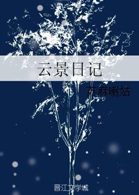 云景应记