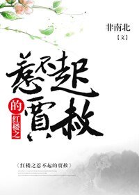 (BL/红楼同人)红楼之惹不起的贾赦